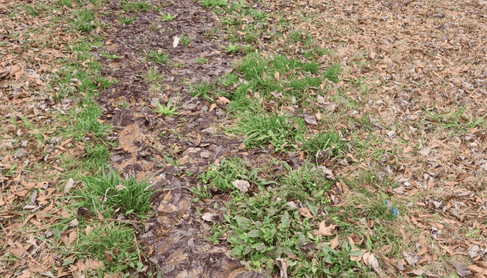 Exterior Water Leak In Atlanta Ga Barnes.jpg